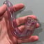Small image 8