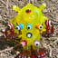 Small image 8