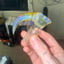 Small image 1