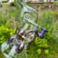 Small image 7