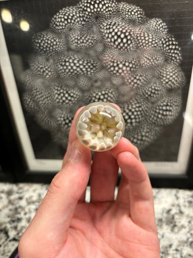 Preview pic of KaveMannGlass Marbles