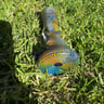 Small image 2