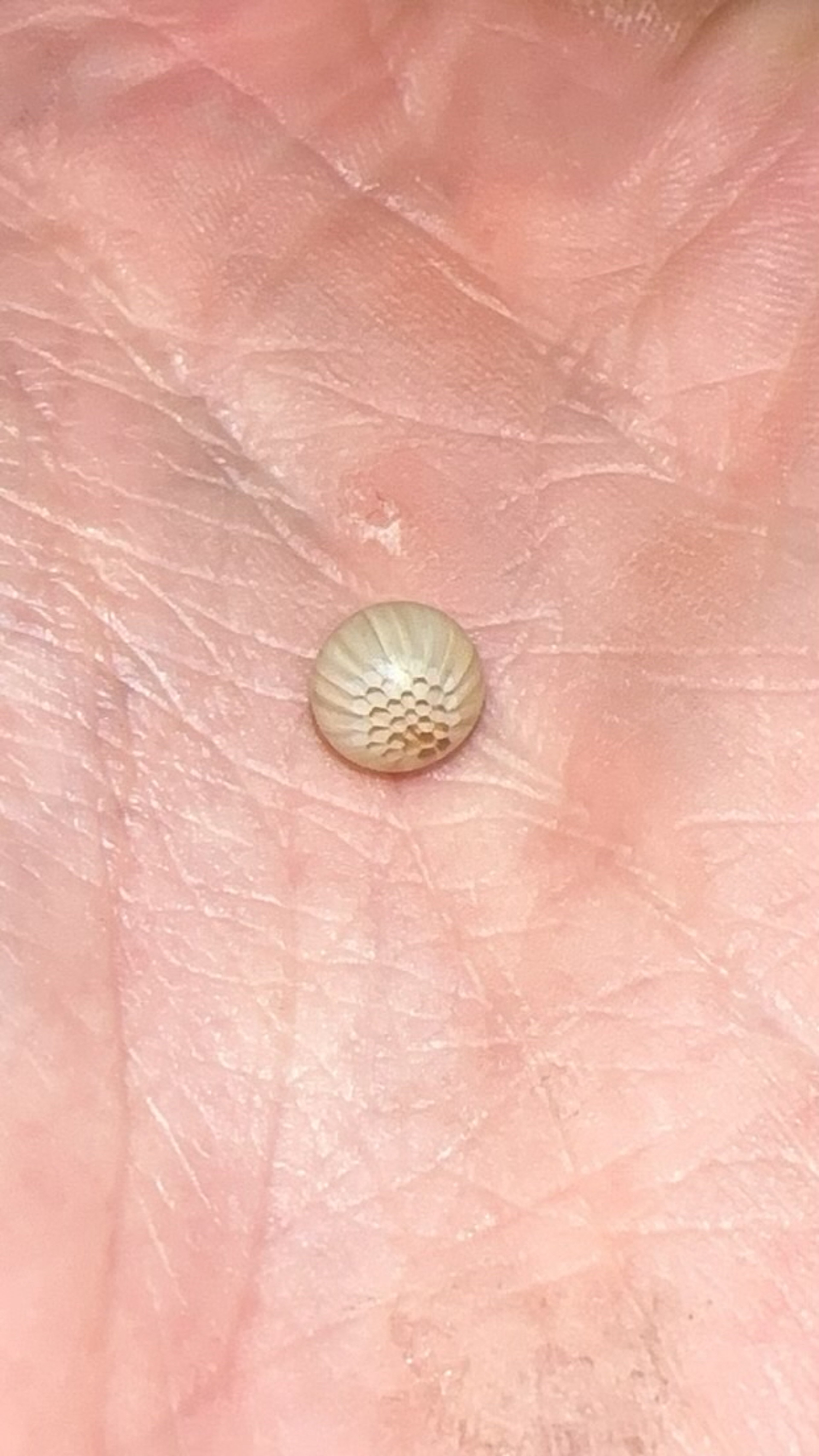Preview pic of JoeP HoneyComb Pearl