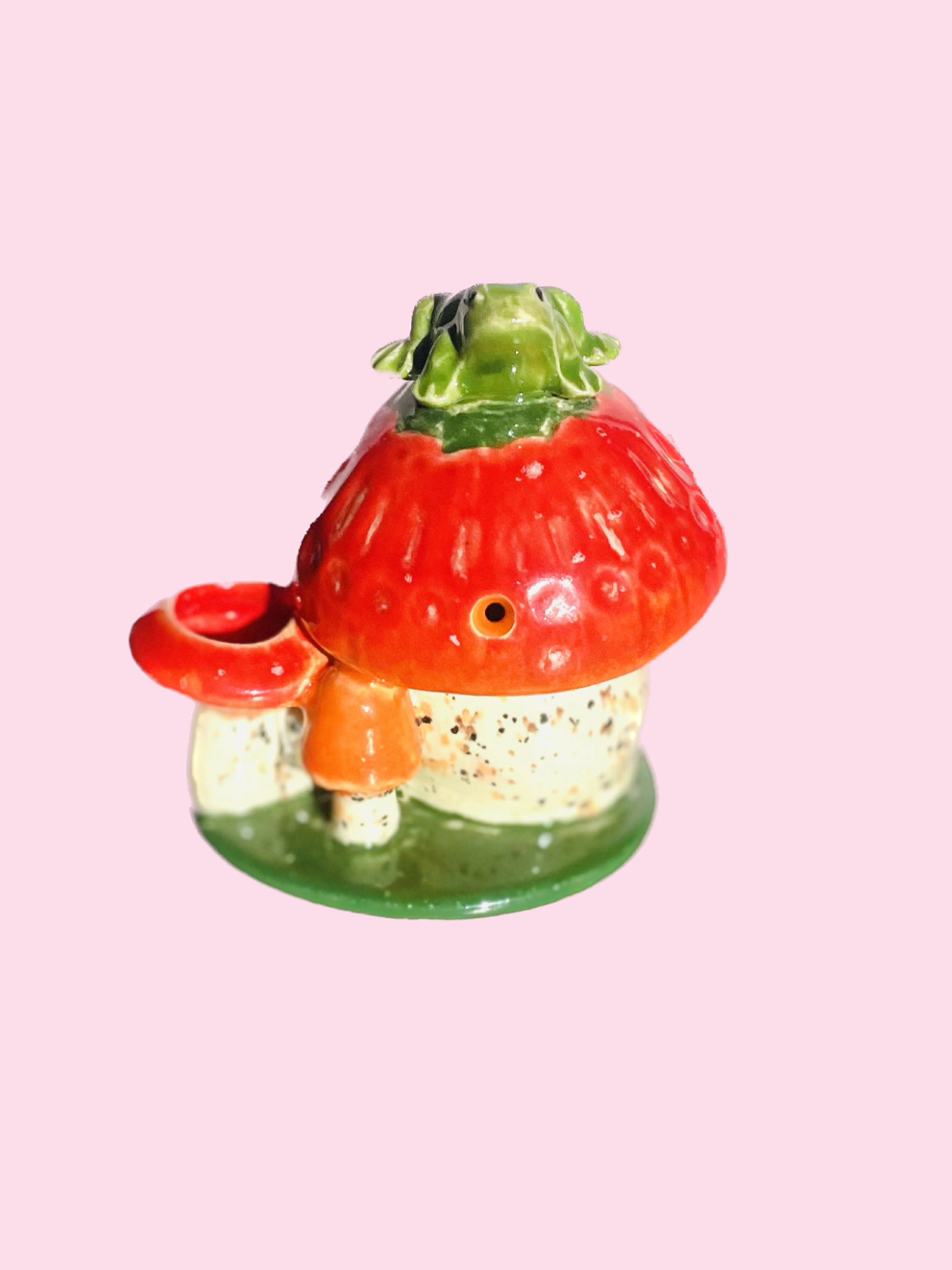 Preview pic of Handmade ceramic Mushroom with Frog