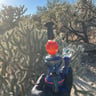 Small image 1