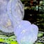 Small image 9