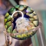 Small image 3