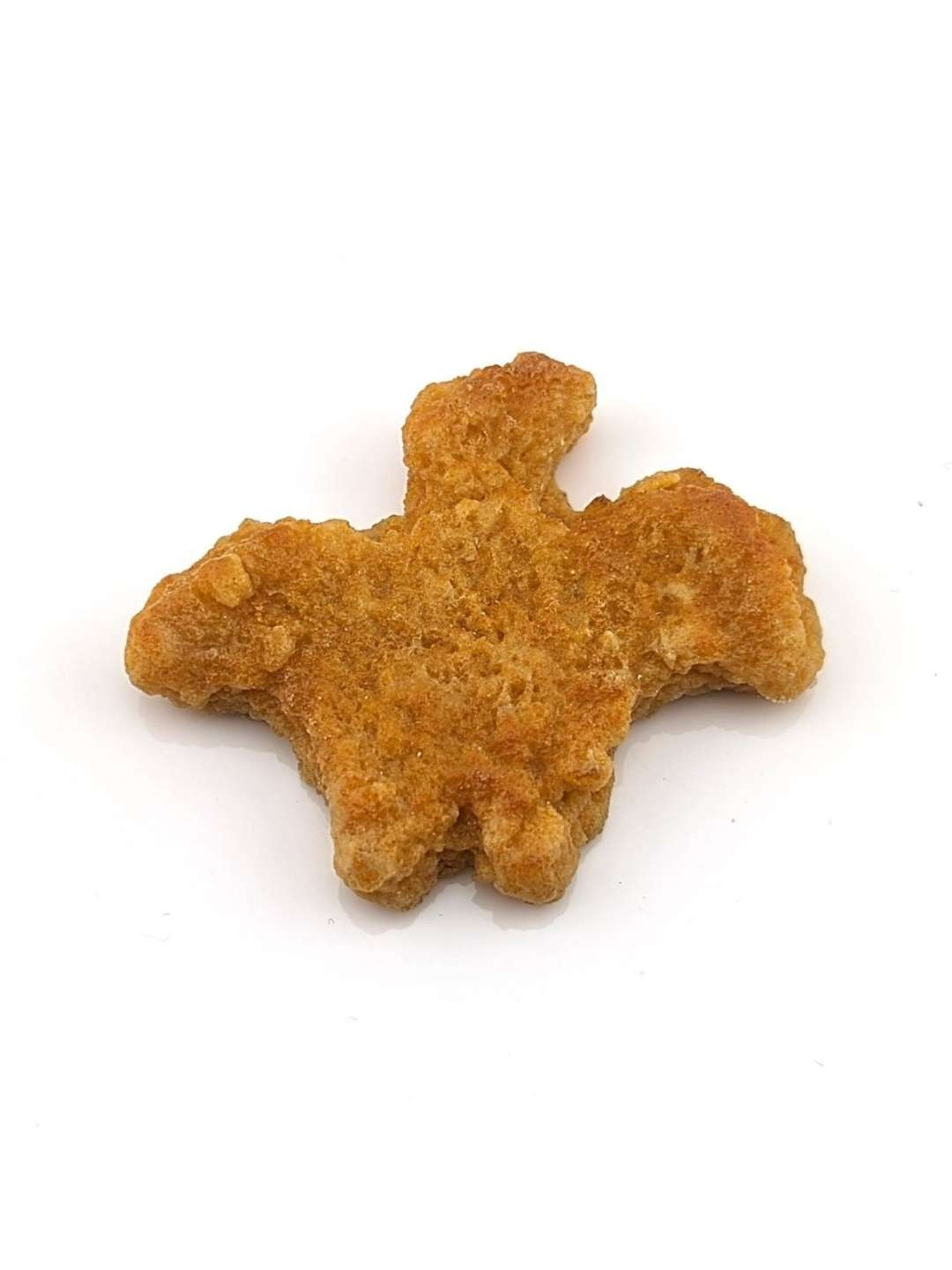 Preview pic of Eriko Kobayashi "Dino Nugget" Sculpture #1
