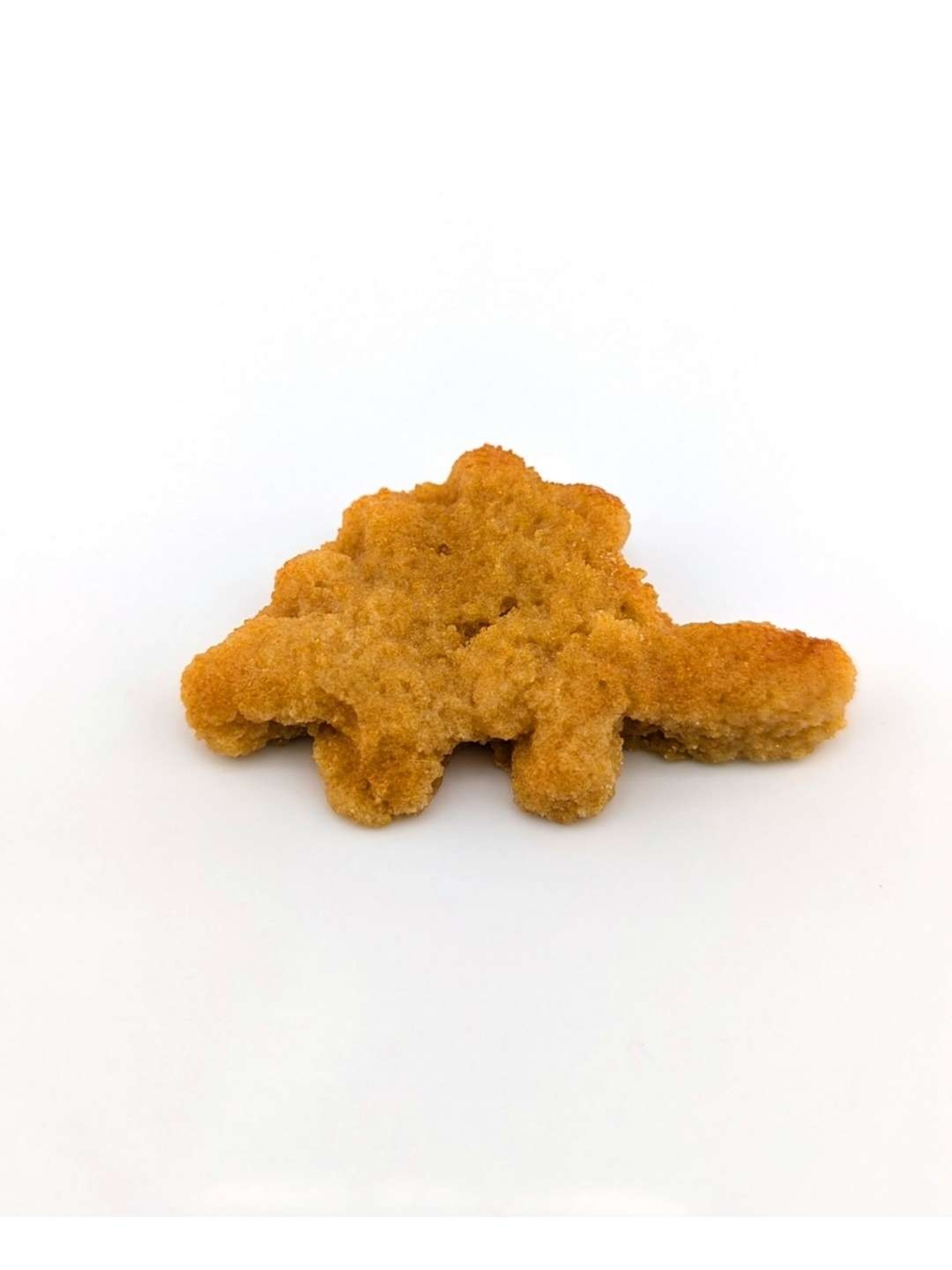 Preview pic of Eriko Kobayashi "Dino Nugget" Sculpture #7