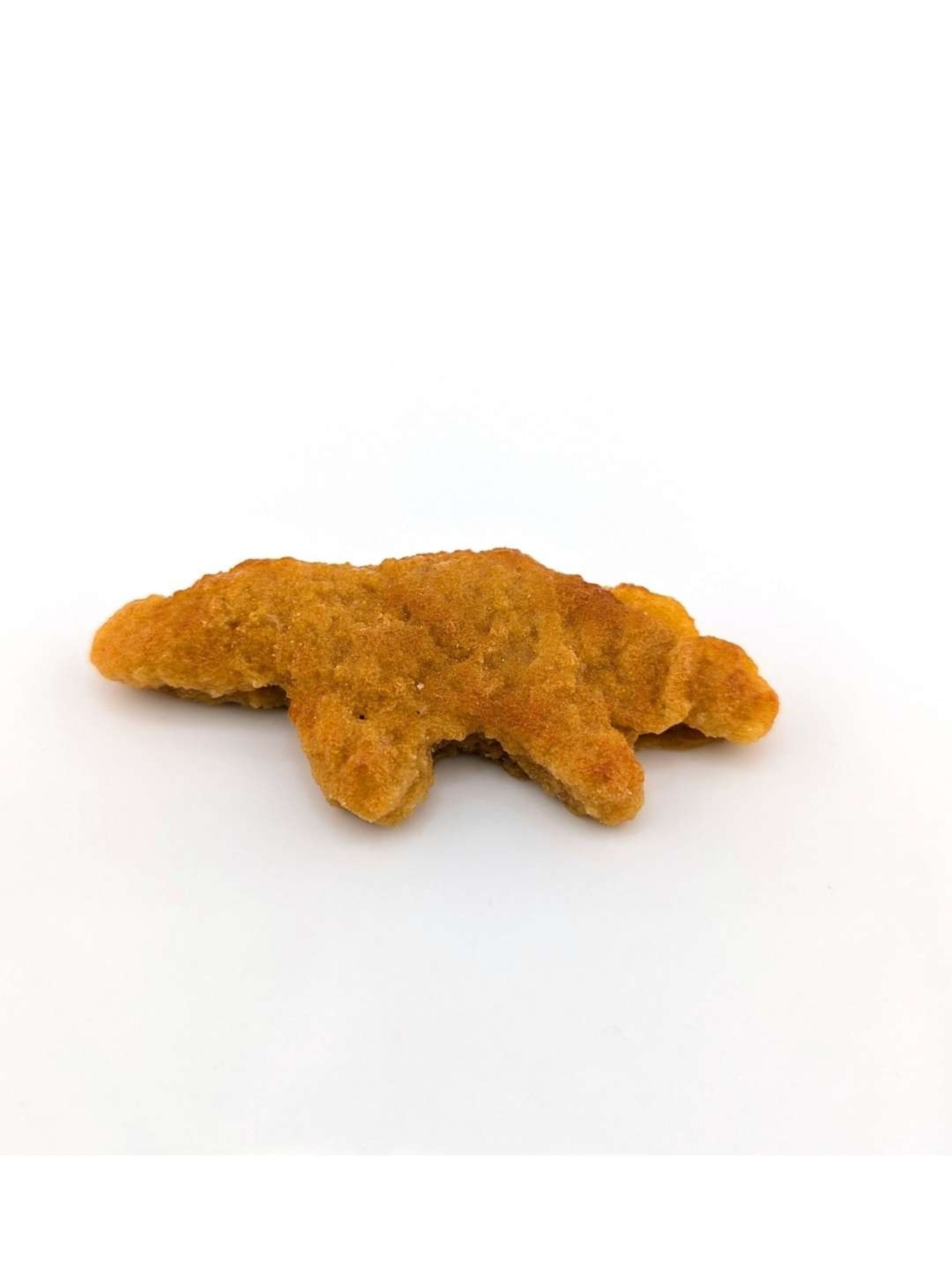 Preview pic of Eriko Kobayashi "Dino Nugget" Sculpture #5