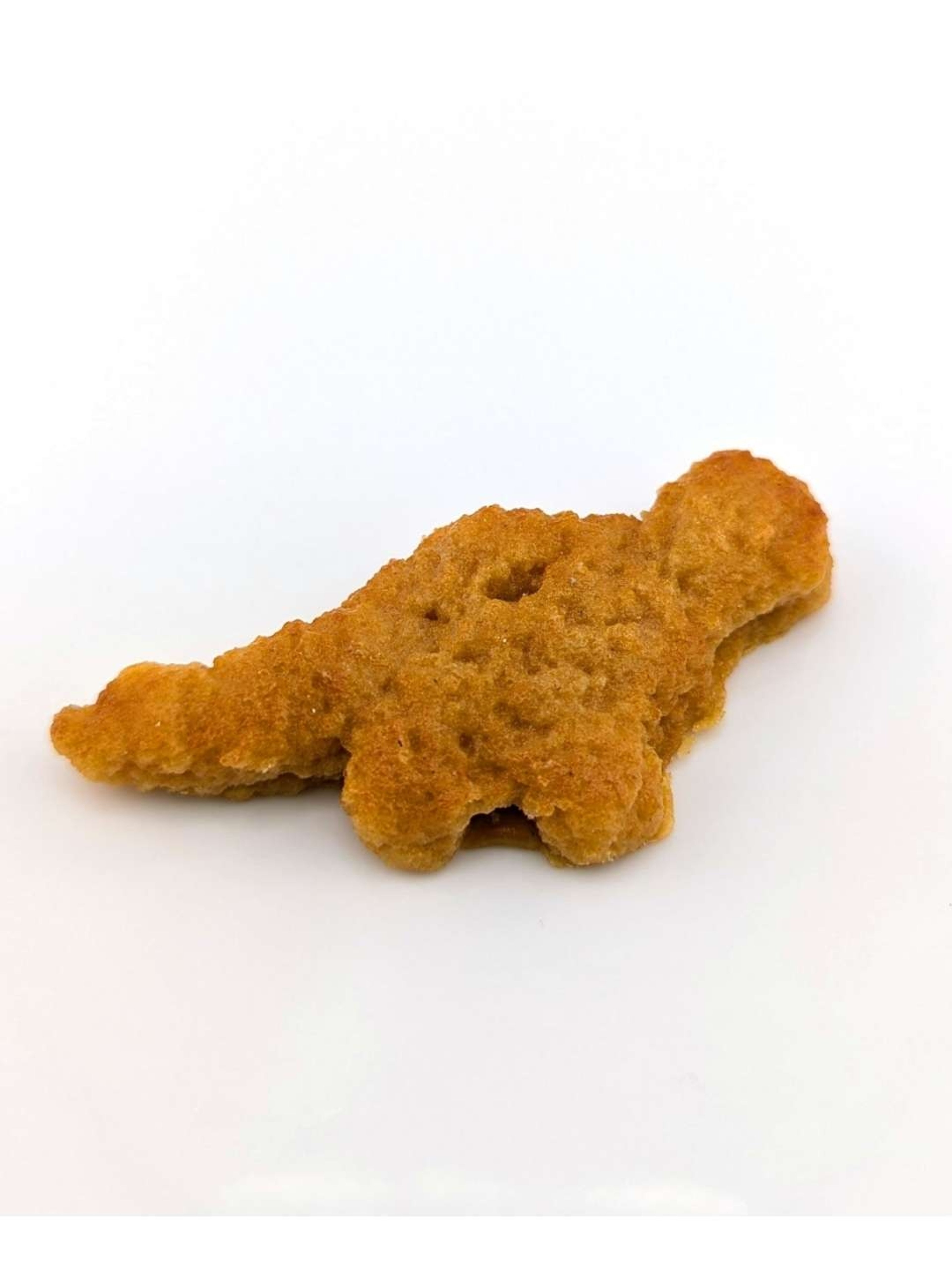 Preview pic of Eriko Kobayashi "Dino Nugget" Sculpture #4