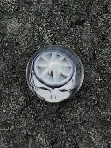 Preview pic of “Steal Your Slice” Grateful Dead Terp Pearl by J Kelly x Lyons Glass