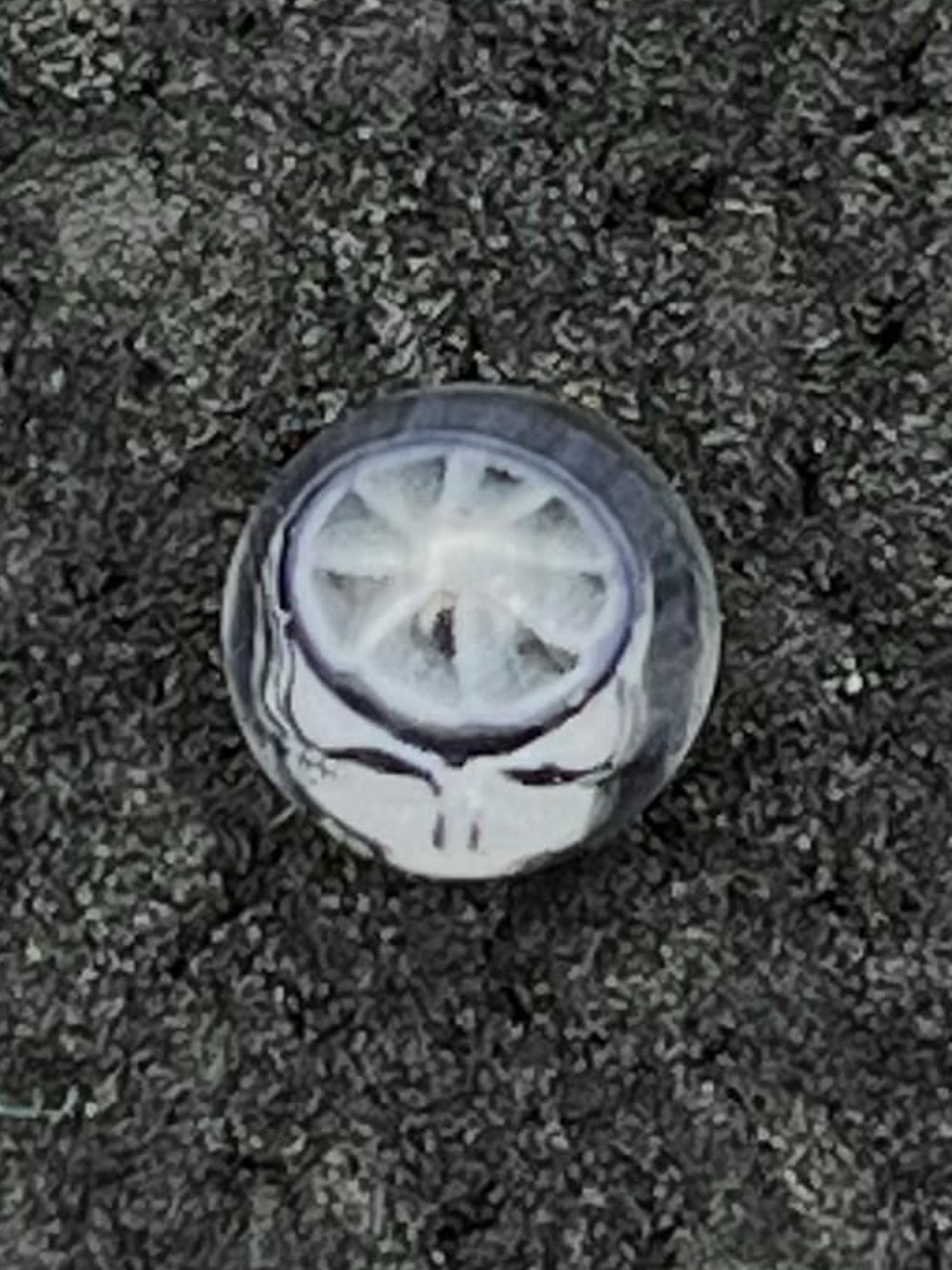 Preview pic of “Steal Your Slice” Grateful Dead Terp Pearl by J Kelly x Lyons Glass