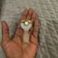 Small image 7
