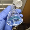 Small image 2