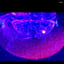 Small image 6