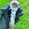 Small image 1