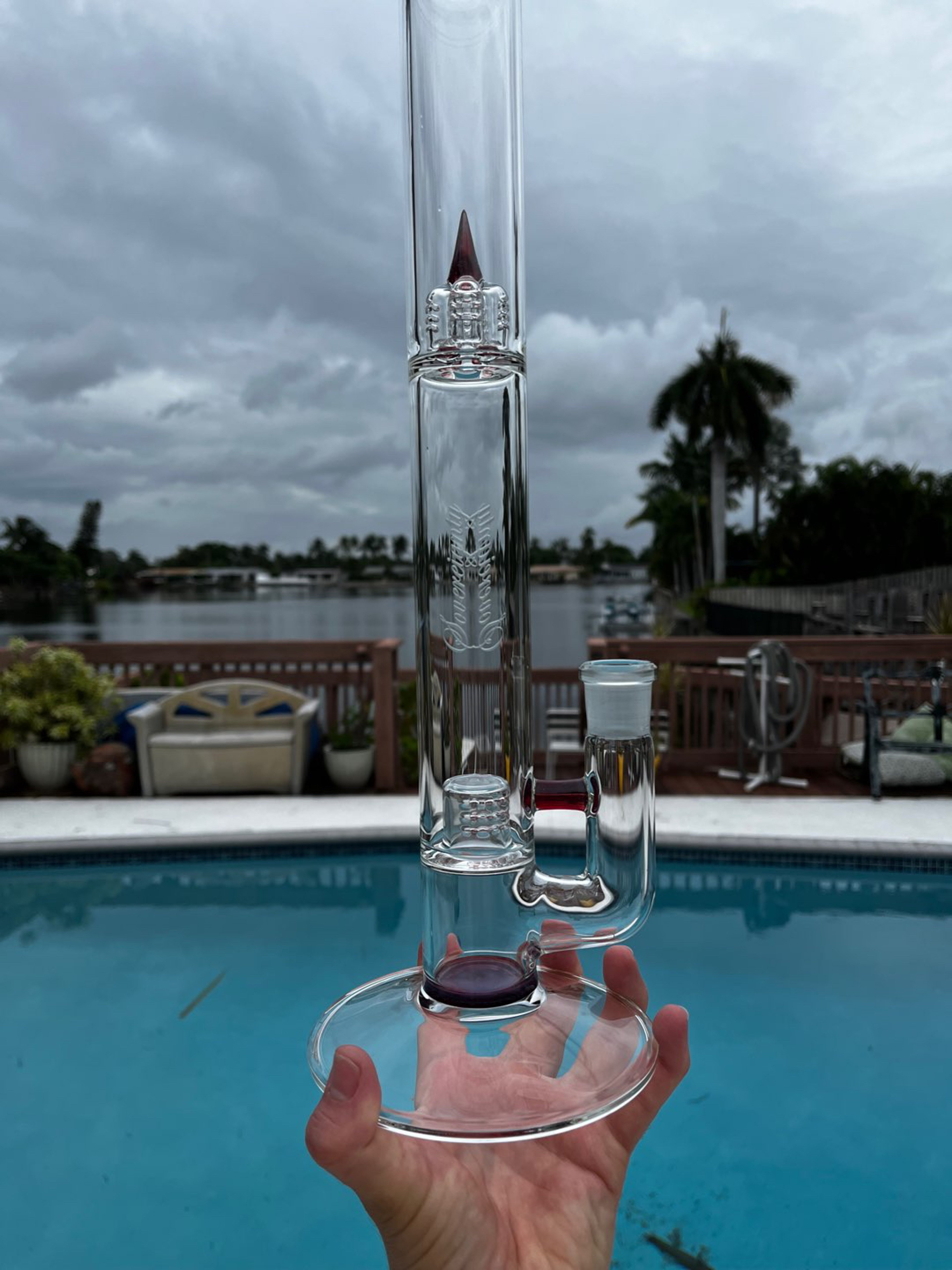 Preview pic of 2020 hibiscus gcap