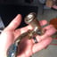 Small image 3
