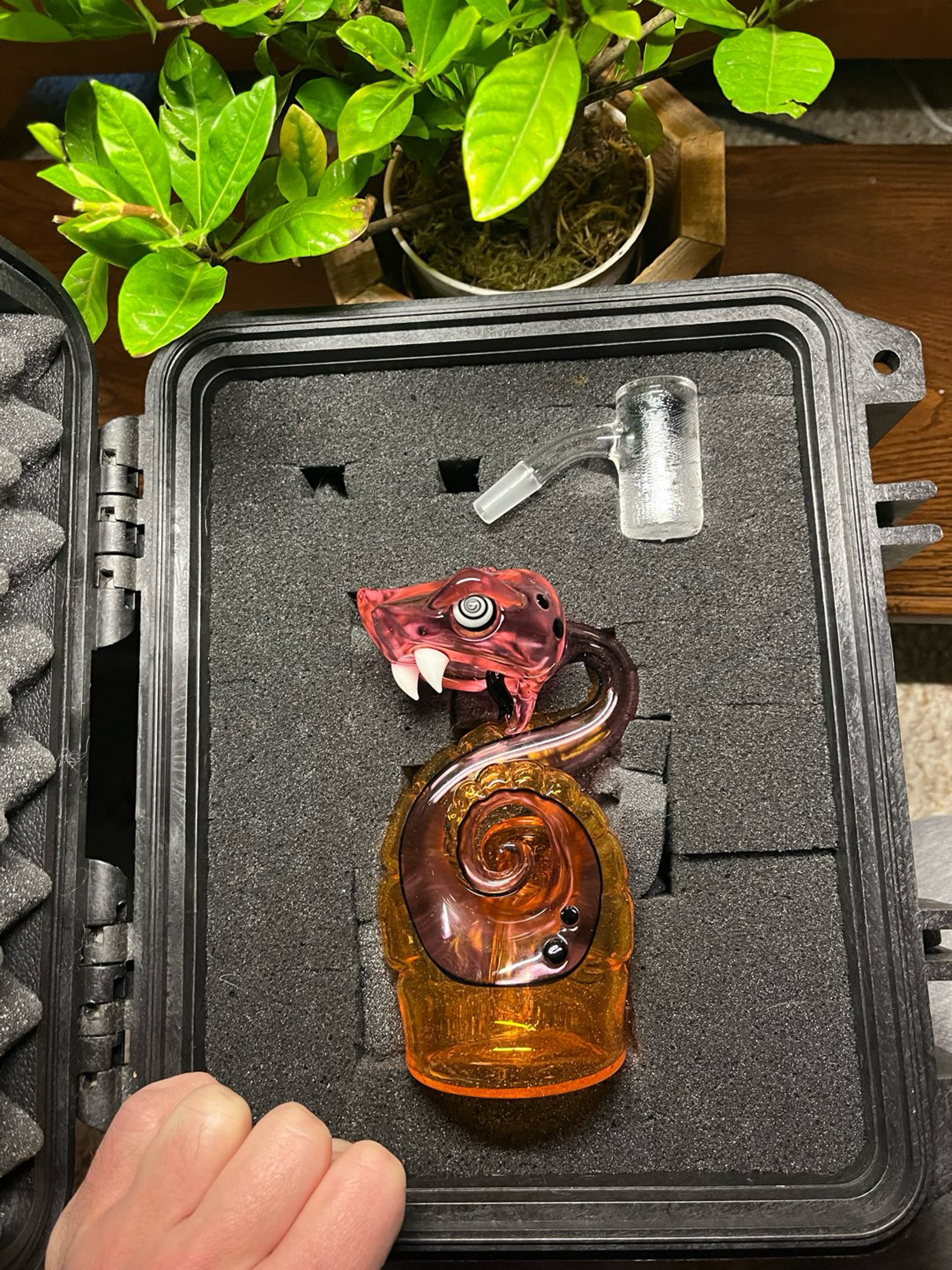 Niko Cray Full CFL Snake w/ Custom Case + Banger image 0