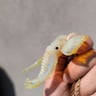 Small image 2