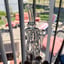 Small image 6