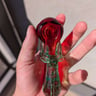 Small image 5