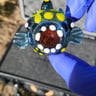 Small image 0