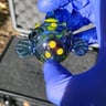 Small image 2