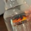 Small image 9