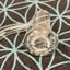 Small image 6