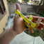 Small image 4