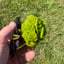 Small image 2