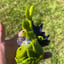 Small image 5