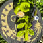 Small image 8