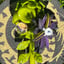 Small image 9
