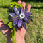 Small image 6