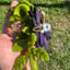 Small image 7