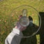 Small image 4