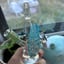 Small image 4