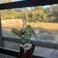Small image 9