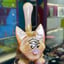 Small image 6