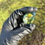 Small image 5