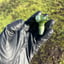 Small image 6