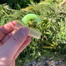 Small image 2