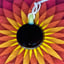 Small image 7