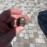 Small image 4