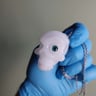 Small image 1