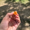 Small image 1