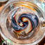 Small image 8